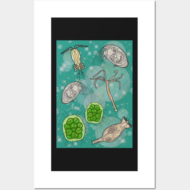 Freshwater Organisms Wall Art by Artbychb